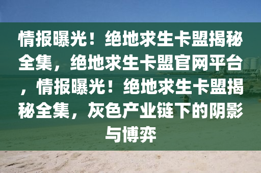 情报曝光！绝地求生卡盟揭秘全集，绝地求生卡盟官网平台，情报曝光！绝地求生卡盟揭秘全集，灰色产业链下的阴影与博弈