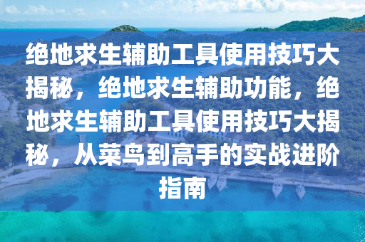 绝地求生辅助工具使用技巧大揭秘，绝地求生辅助功能，绝地求生辅助工具使用技巧大揭秘，从菜鸟到高手的实战进阶指南