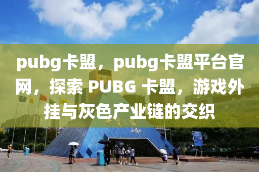 pubg卡盟，pubg卡盟平台官网，探索 PUBG 卡盟，游戏外挂与灰色产业链的交织