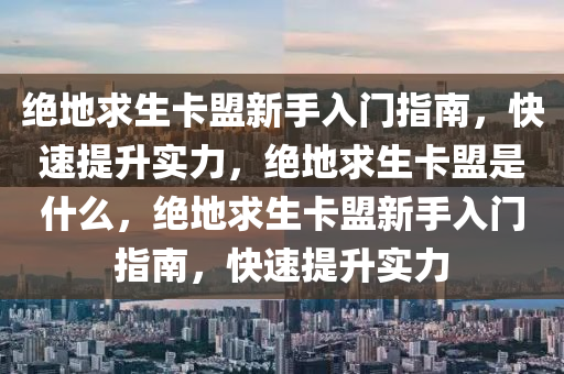绝地求生卡盟新手入门指南，快速提升实力，绝地求生卡盟是什么，绝地求生卡盟新手入门指南，快速提升实力