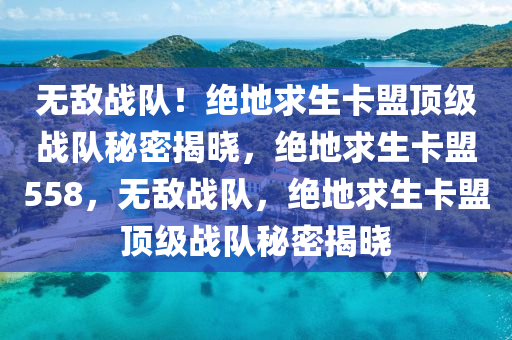 无敌战队！绝地求生卡盟顶级战队秘密揭晓，绝地求生卡盟558，无敌战队，绝地求生卡盟顶级战队秘密揭晓