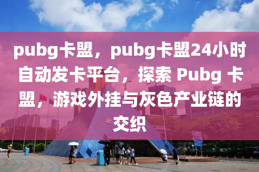 pubg卡盟，pubg卡盟24小时自动发卡平台，探索 Pubg 卡盟，游戏外挂与灰色产业链的交织