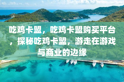 吃鸡卡盟，吃鸡卡盟购买平台，探秘吃鸡卡盟，游走在游戏与商业的边缘
