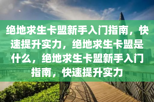 绝地求生卡盟新手入门指南，快速提升实力，绝地求生卡盟是什么，绝地求生卡盟新手入门指南，快速提升实力