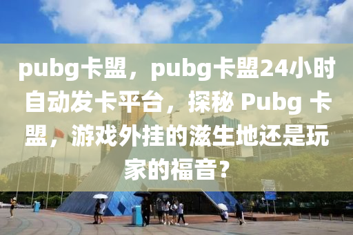 pubg卡盟，pubg卡盟24小时自动发卡平台，探秘 Pubg 卡盟，游戏外挂的滋生地还是玩家的福音？