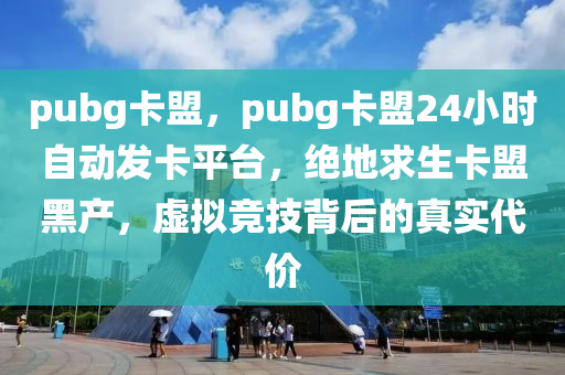pubg卡盟，pubg卡盟24小时自动发卡平台，绝地求生卡盟黑产，虚拟竞技背后的真实代价