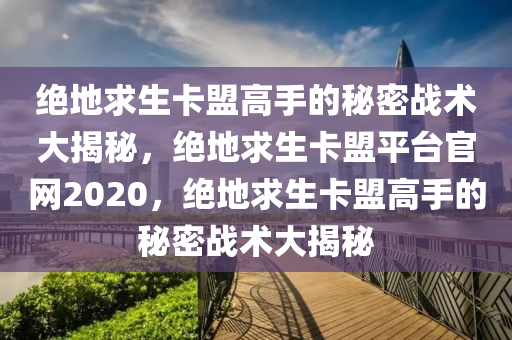 绝地求生卡盟高手的秘密战术大揭秘，绝地求生卡盟平台官网2020，绝地求生卡盟高手的秘密战术大揭秘