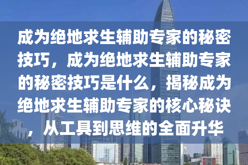 成为绝地求生辅助专家的秘密技巧，成为绝地求生辅助专家的秘密技巧是什么，揭秘成为绝地求生辅助专家的核心秘诀，从工具到思维的全面升华