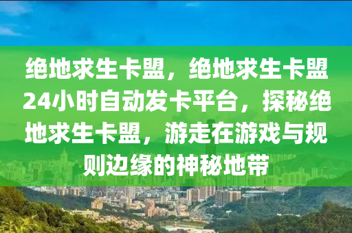 绝地求生卡盟，绝地求生卡盟24小时自动发卡平台，探秘绝地求生卡盟，游走在游戏与规则边缘的神秘地带
