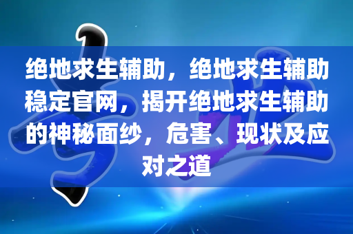 绝地求生辅助，绝地求生辅助稳定官网，揭开绝地求生辅助的神秘面纱，危害、现状及应对之道