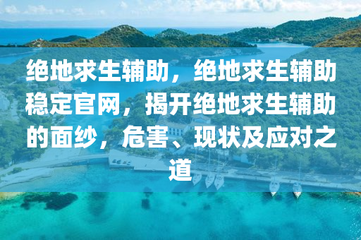 绝地求生辅助，绝地求生辅助稳定官网，揭开绝地求生辅助的面纱，危害、现状及应对之道