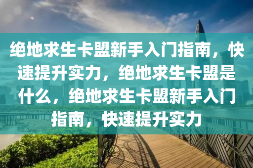 绝地求生卡盟新手入门指南，快速提升实力，绝地求生卡盟是什么，绝地求生卡盟新手入门指南，快速提升实力