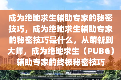 成为绝地求生辅助专家的秘密技巧，成为绝地求生辅助专家的秘密技巧是什么，从萌新到大师，成为绝地求生（PUBG）辅助专家的终极秘密技巧