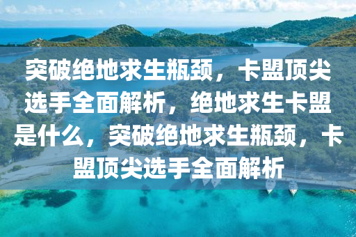 突破绝地求生瓶颈，卡盟顶尖选手全面解析，绝地求生卡盟是什么，突破绝地求生瓶颈，卡盟顶尖选手全面解析