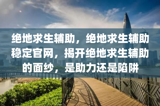 绝地求生辅助，绝地求生辅助稳定官网，揭开绝地求生辅助的面纱，是助力还是陷阱