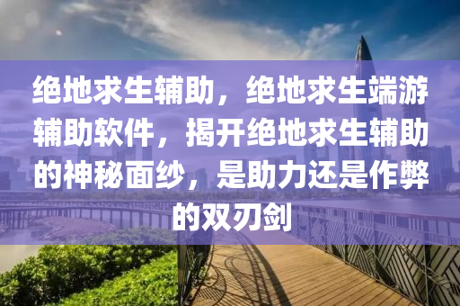 绝地求生辅助，绝地求生端游辅助软件，揭开绝地求生辅助的神秘面纱，是助力还是作弊的双刃剑