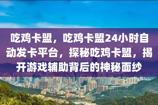 吃鸡卡盟，吃鸡卡盟24小时自动发卡平台，探秘吃鸡卡盟，揭开游戏辅助背后的神秘面纱