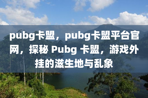 pubg卡盟，pubg卡盟平台官网，探秘 Pubg 卡盟，游戏外挂的滋生地与乱象