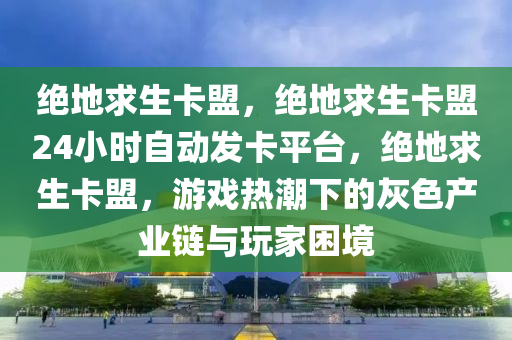 绝地求生卡盟，绝地求生卡盟24小时自动发卡平台，绝地求生卡盟，游戏热潮下的灰色产业链与玩家困境