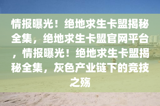 情报曝光！绝地求生卡盟揭秘全集，绝地求生卡盟官网平台，情报曝光！绝地求生卡盟揭秘全集，灰色产业链下的竞技之殇