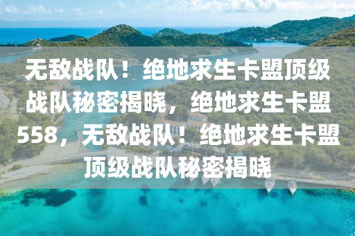 无敌战队！绝地求生卡盟顶级战队秘密揭晓，绝地求生卡盟558，无敌战队！绝地求生卡盟顶级战队秘密揭晓