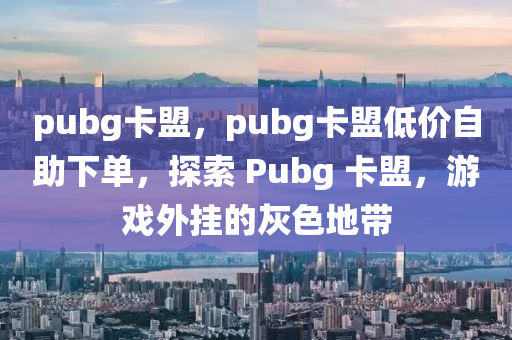 pubg卡盟，pubg卡盟低价自助下单，探索 Pubg 卡盟，游戏外挂的灰色地带