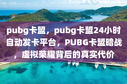 pubg卡盟，pubg卡盟24小时自动发卡平台，PUBG卡盟暗战，虚拟荣耀背后的真实代价