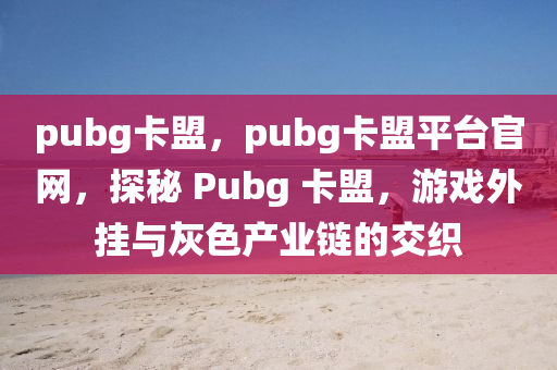 pubg卡盟，pubg卡盟平台官网，探秘 Pubg 卡盟，游戏外挂与灰色产业链的交织