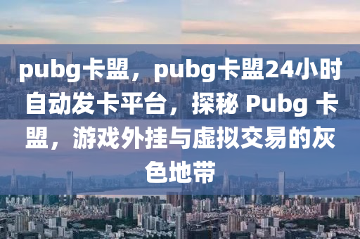 pubg卡盟，pubg卡盟24小时自动发卡平台，探秘 Pubg 卡盟，游戏外挂与虚拟交易的灰色地带