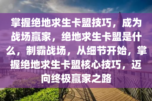 掌握绝地求生卡盟技巧，成为战场赢家，绝地求生卡盟是什么，制霸战场，从细节开始，掌握绝地求生卡盟核心技巧，迈向终极赢家之路