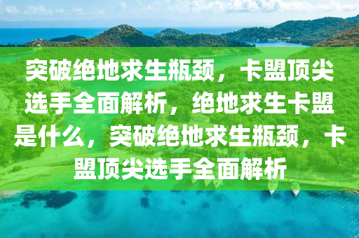 突破绝地求生瓶颈，卡盟顶尖选手全面解析，绝地求生卡盟是什么，突破绝地求生瓶颈，卡盟顶尖选手全面解析