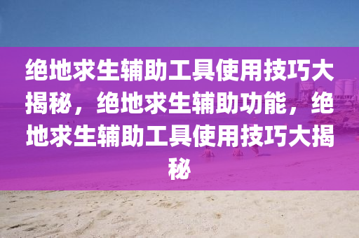 绝地求生辅助工具使用技巧大揭秘，绝地求生辅助功能，绝地求生辅助工具使用技巧大揭秘