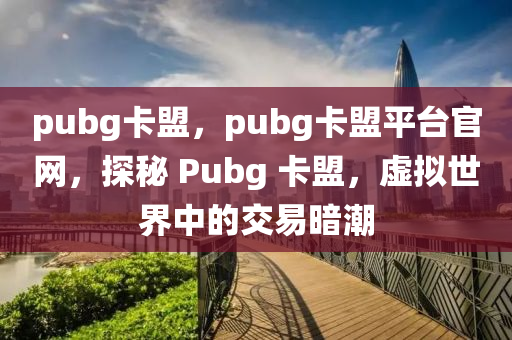 pubg卡盟，pubg卡盟平台官网，探秘 Pubg 卡盟，虚拟世界中的交易暗潮
