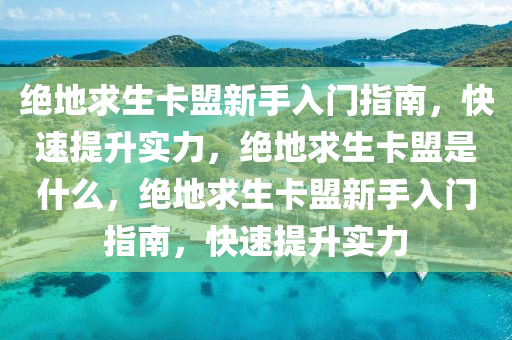 绝地求生卡盟新手入门指南，快速提升实力，绝地求生卡盟是什么，绝地求生卡盟新手入门指南，快速提升实力