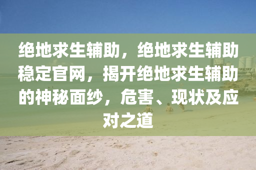 绝地求生辅助，绝地求生辅助稳定官网，揭开绝地求生辅助的神秘面纱，危害、现状及应对之道