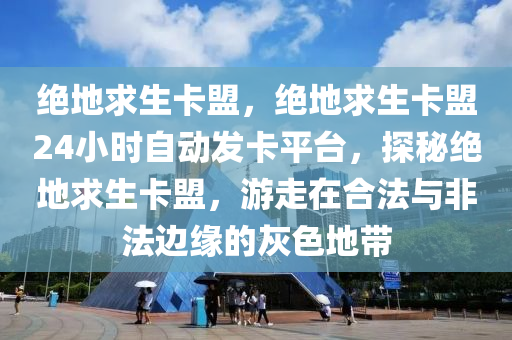 绝地求生卡盟，绝地求生卡盟24小时自动发卡平台，探秘绝地求生卡盟，游走在合法与非法边缘的灰色地带
