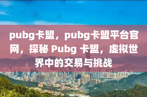 pubg卡盟，pubg卡盟平台官网，探秘 Pubg 卡盟，虚拟世界中的交易与挑战