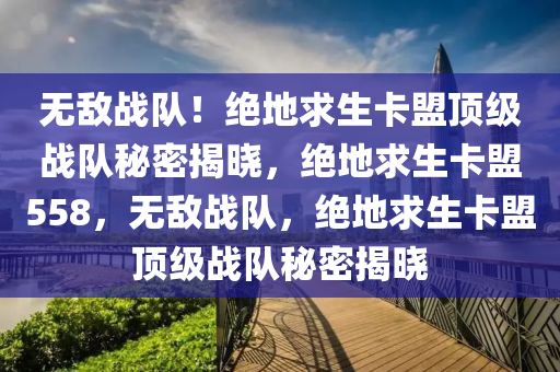 无敌战队！绝地求生卡盟顶级战队秘密揭晓，绝地求生卡盟558，无敌战队，绝地求生卡盟顶级战队秘密揭晓
