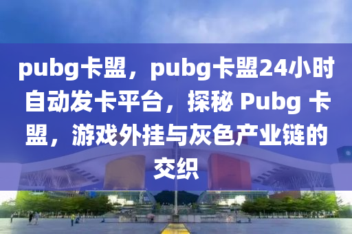 pubg卡盟，pubg卡盟24小时自动发卡平台，探秘 Pubg 卡盟，游戏外挂与灰色产业链的交织