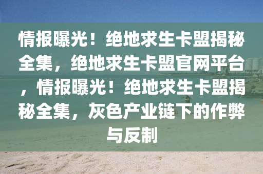 情报曝光！绝地求生卡盟揭秘全集，绝地求生卡盟官网平台，情报曝光！绝地求生卡盟揭秘全集，灰色产业链下的作弊与反制
