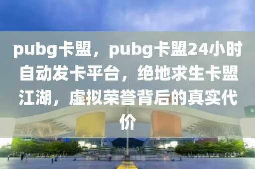 pubg卡盟，pubg卡盟24小时自动发卡平台，绝地求生卡盟江湖，虚拟荣誉背后的真实代价