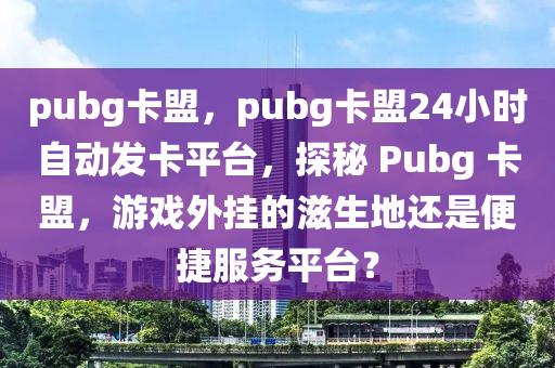 pubg卡盟，pubg卡盟24小时自动发卡平台，探秘 Pubg 卡盟，游戏外挂的滋生地还是便捷服务平台？