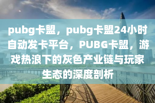 pubg卡盟，pubg卡盟24小时自动发卡平台，PUBG卡盟，游戏热浪下的灰色产业链与玩家生态的深度剖析