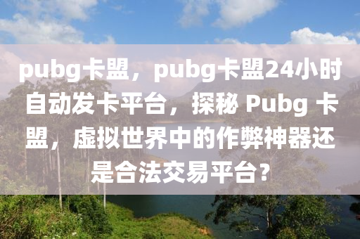 pubg卡盟，pubg卡盟24小时自动发卡平台，探秘 Pubg 卡盟，虚拟世界中的作弊神器还是合法交易平台？