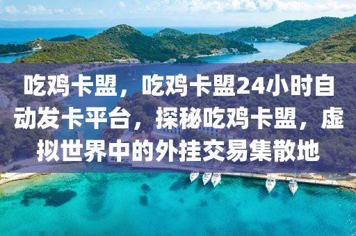 吃鸡卡盟，吃鸡卡盟24小时自动发卡平台，探秘吃鸡卡盟，虚拟世界中的外挂交易集散地