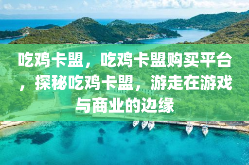 吃鸡卡盟，吃鸡卡盟购买平台，探秘吃鸡卡盟，游走在游戏与商业的边缘