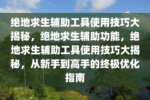 绝地求生辅助工具使用技巧大揭秘，绝地求生辅助功能，绝地求生辅助工具使用技巧大揭秘，从新手到高手的终极优化指南