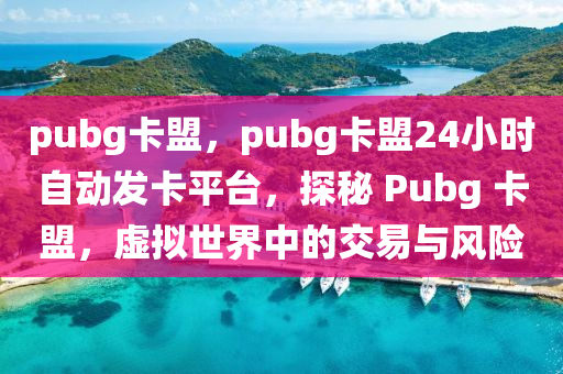 pubg卡盟，pubg卡盟24小时自动发卡平台，探秘 Pubg 卡盟，虚拟世界中的交易与风险