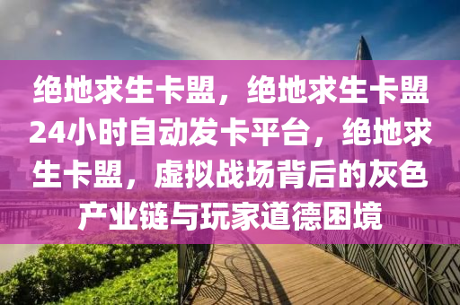 绝地求生卡盟，绝地求生卡盟24小时自动发卡平台，绝地求生卡盟，虚拟战场背后的灰色产业链与玩家道德困境