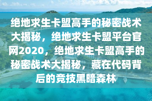 绝地求生卡盟高手的秘密战术大揭秘，绝地求生卡盟平台官网2020，绝地求生卡盟高手的秘密战术大揭秘，藏在代码背后的竞技黑暗森林